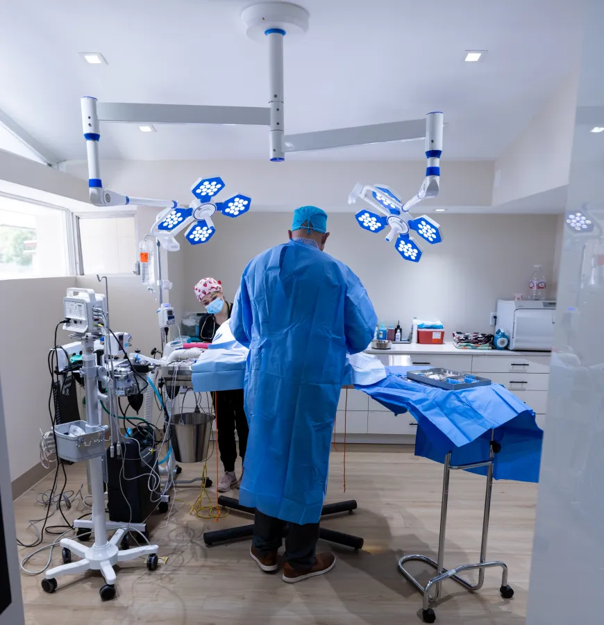 Purpose-built veterinary facility with modern treatment and client experience areas